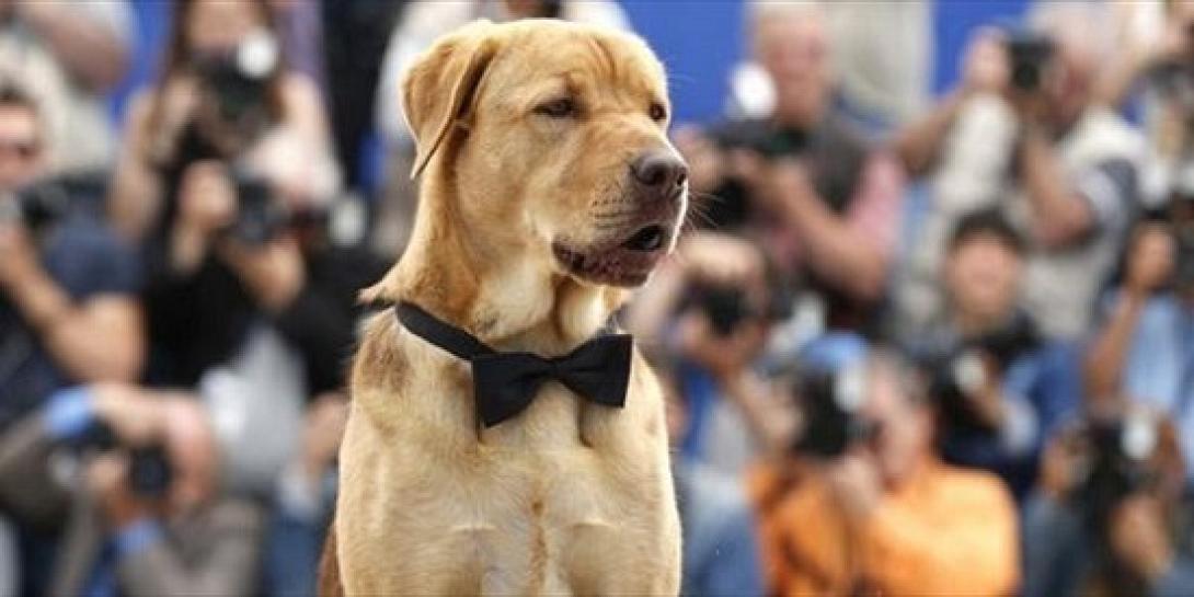 Εικόνες που ξεγελούν τα μάτια