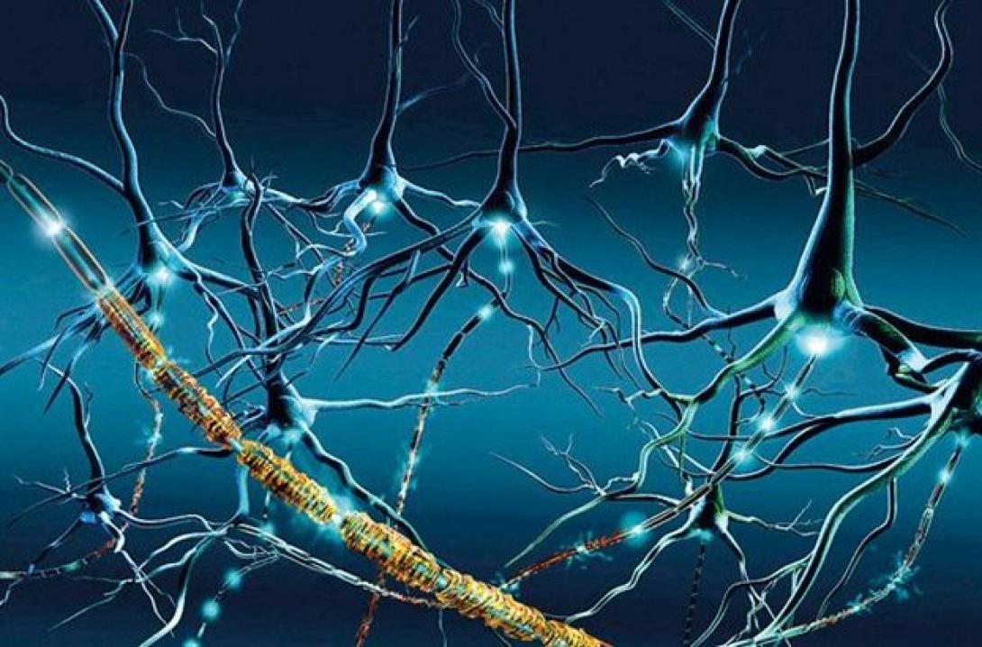 ΗΠΑ: Θεραπεία με βλαστικά κύτταρα έκανε ποντίκια με σκλήρυνση κατά πλάκας να περπατήσουν