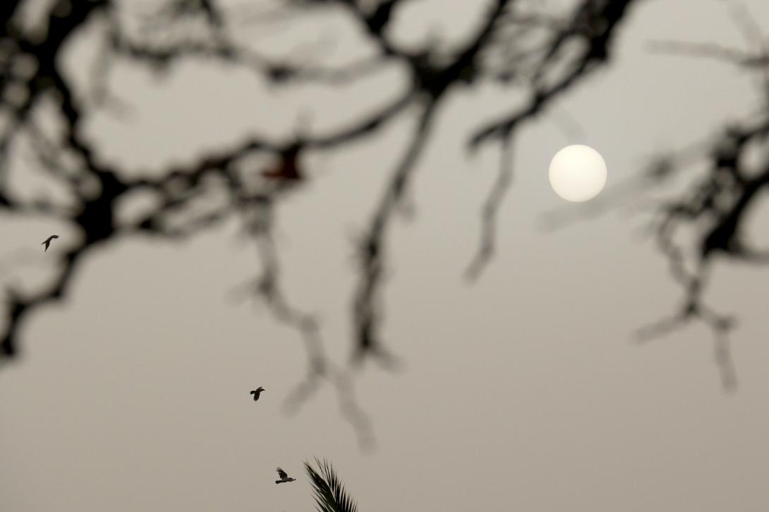 αφρικανική σκόνη