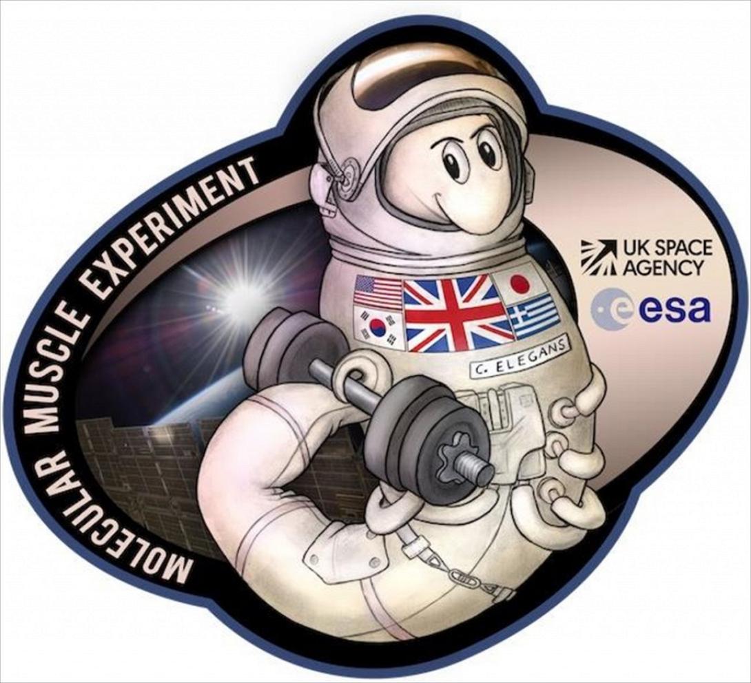 σκουληκια αστροναυτες