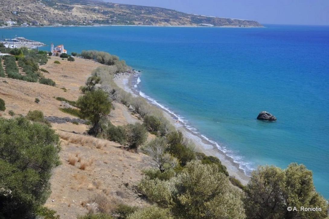 σκούρος καστρί