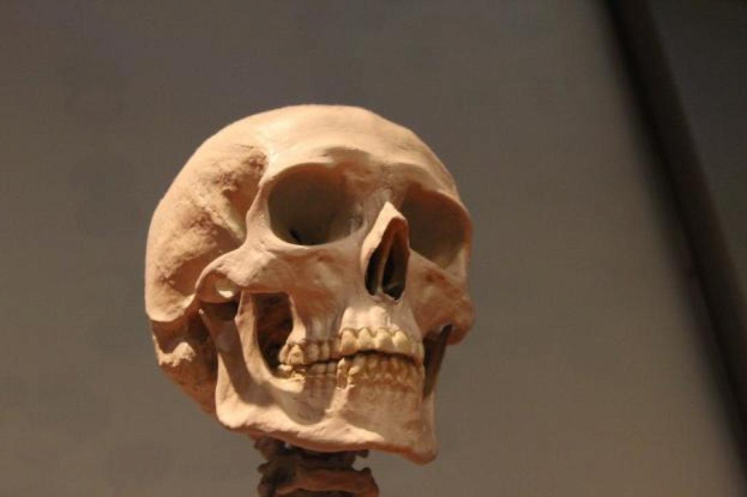 skull-2817921_960_720.jpg