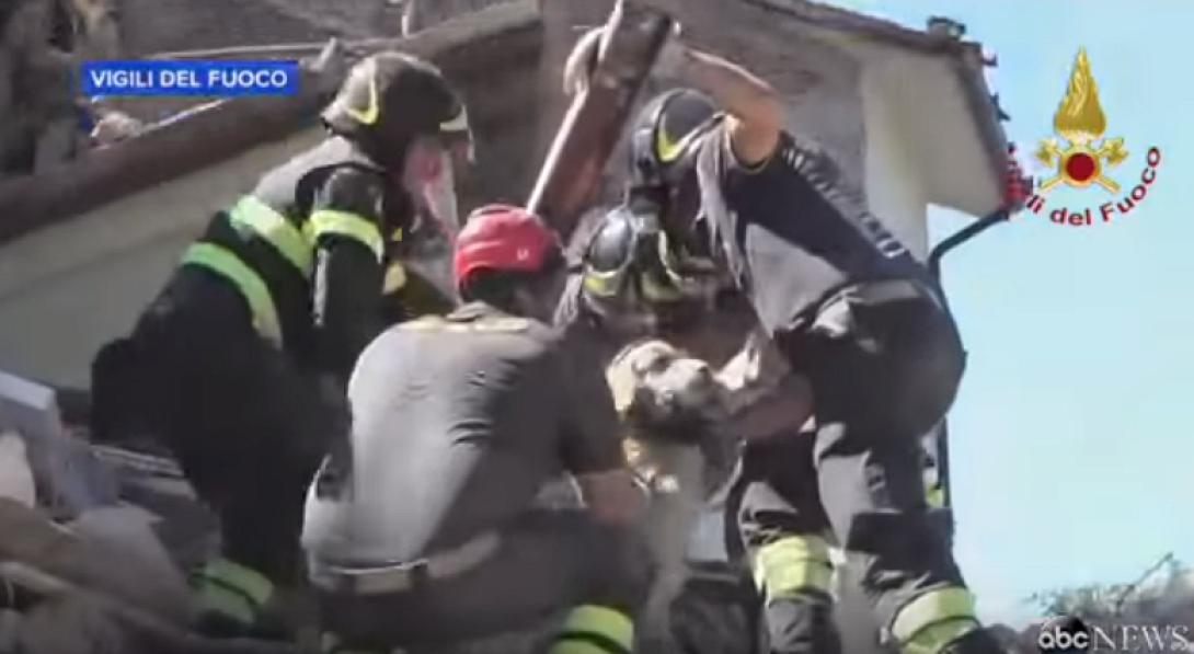 σκυλι ιταλια