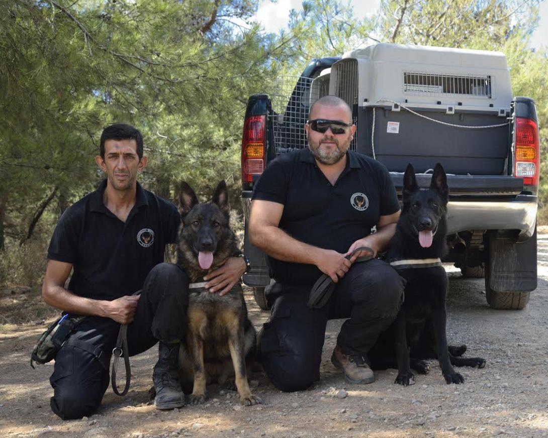 κρητική ομάδα σκύλων