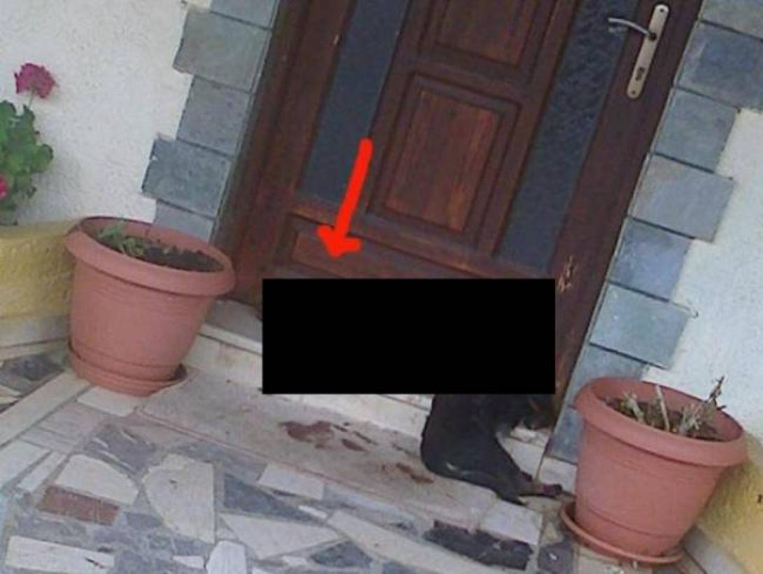 Σητεία : Συνελήφθη ο δράστης που αποκεφάλισε κουτάβι για να εκδικηθεί το "αφεντικό" του