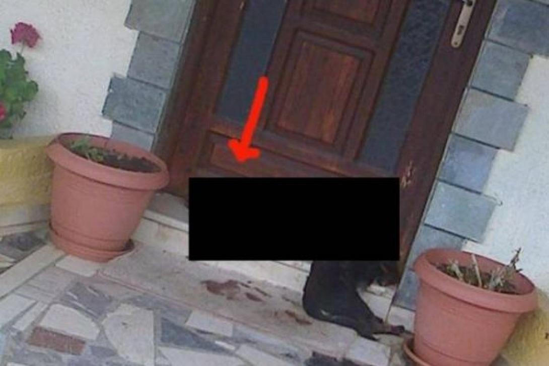 Σητεία: Καταδικάστηκε ο "δήμιος" του κουταβιού