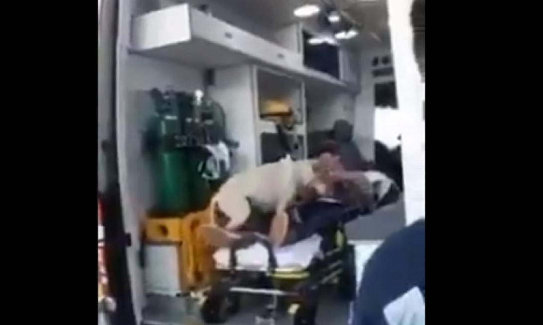 σκύλος φορείο