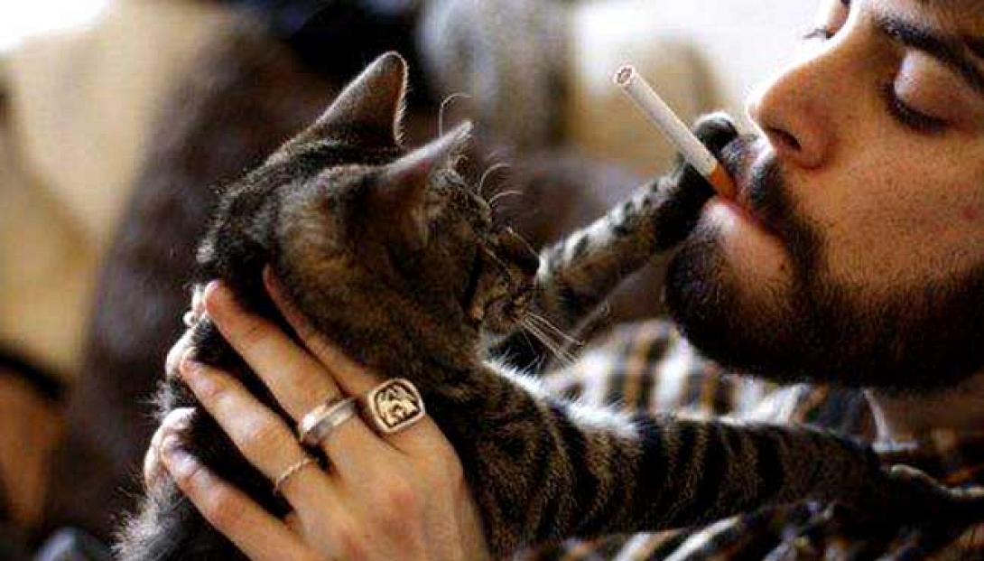 καπνισμα κατοικιδιο