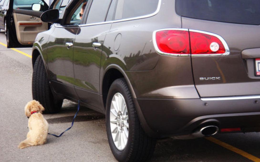 Σοφερίνες… για κλάματα!