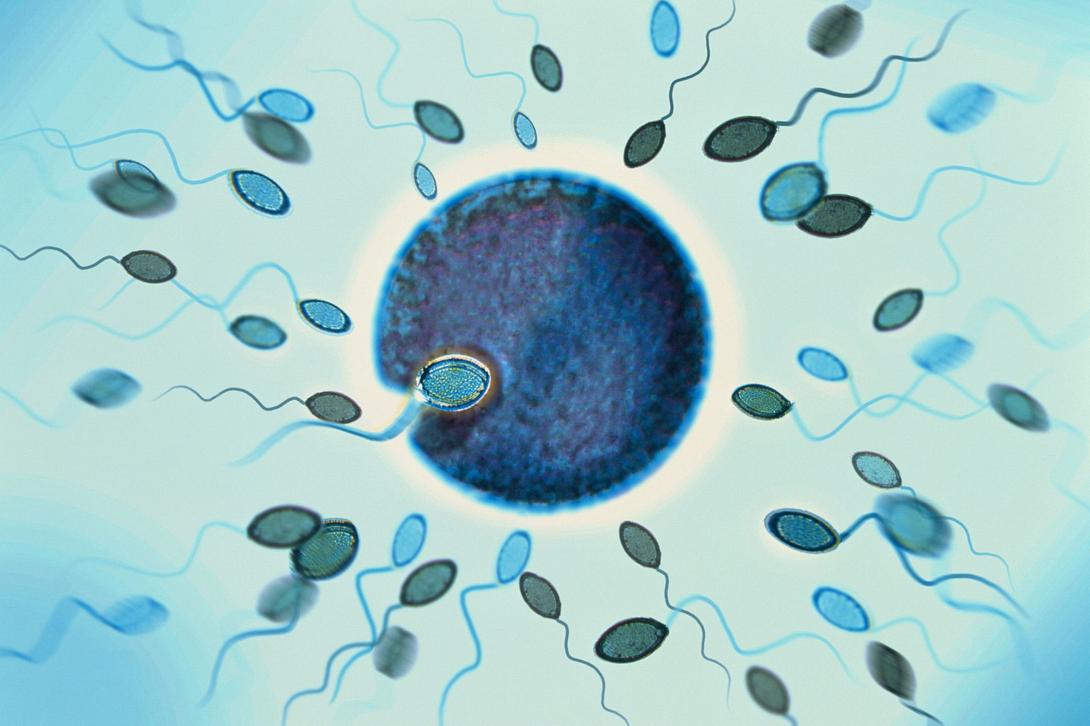 Nέες ελπίδες για την ανδρική στειρότητα