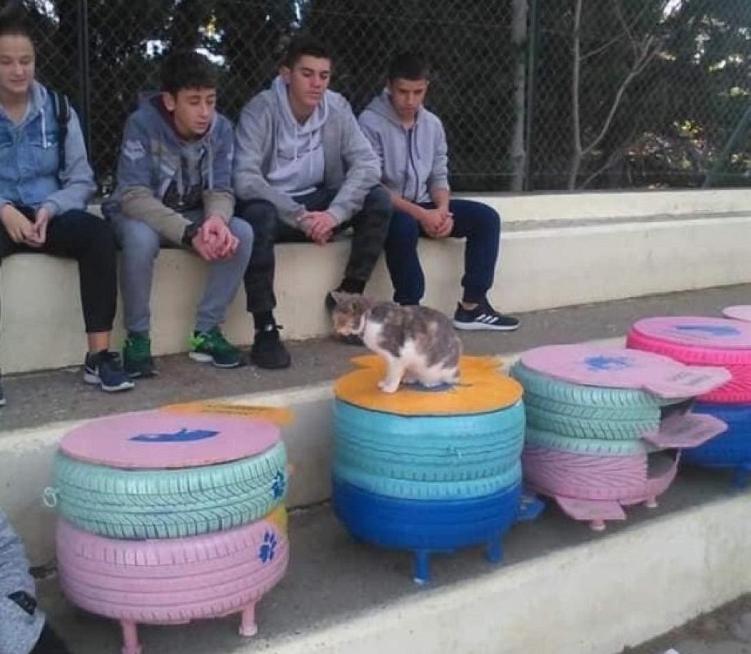 σπιτάκια για γάτες