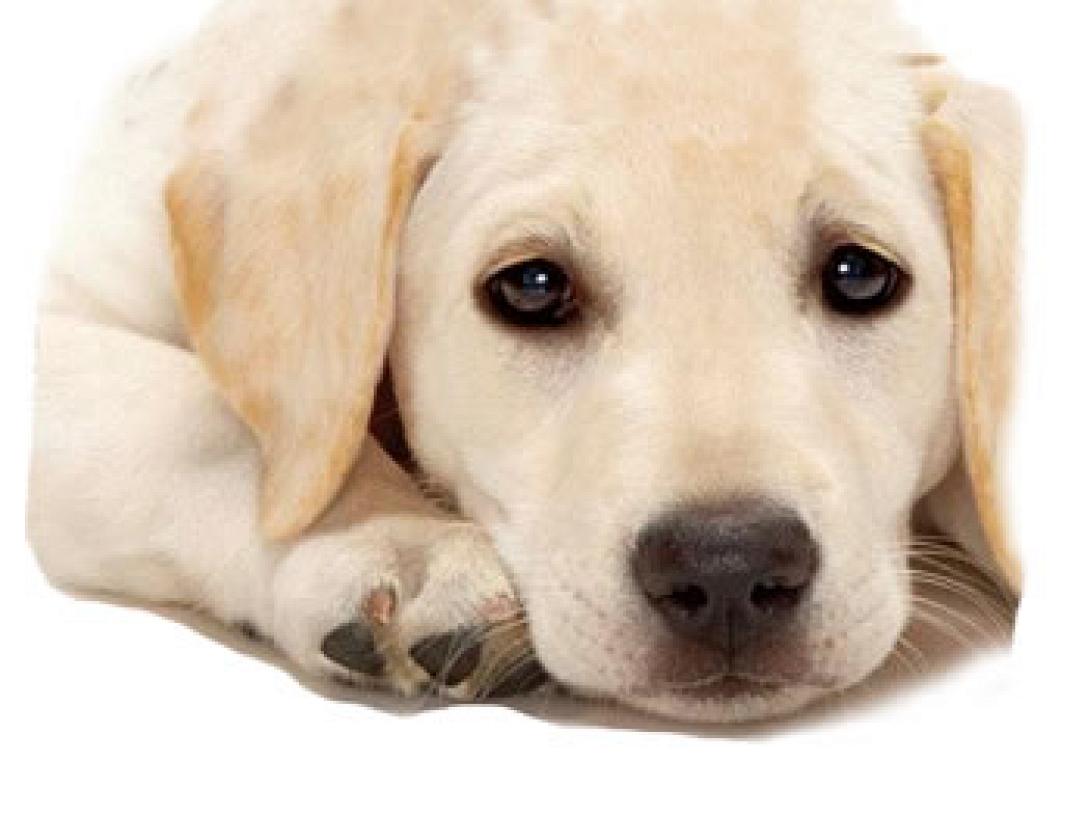 "Είμαι .. δημότης Ηρακλείου και είμαι άστεγος"