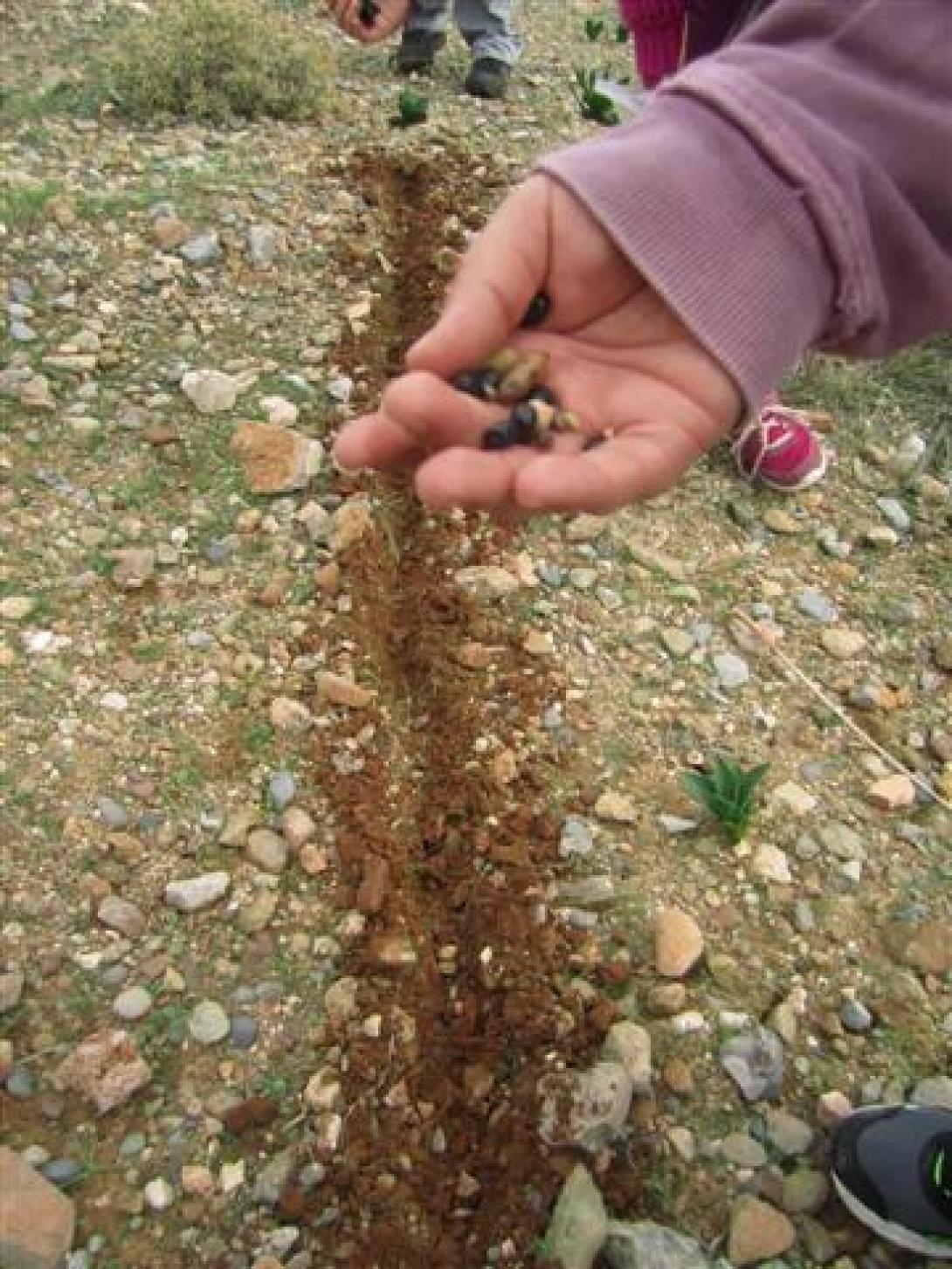 "Έριξαν το σπόρο" για την δημιουργία του μοναδικού βοτανικού κήπου στην Κρήτη