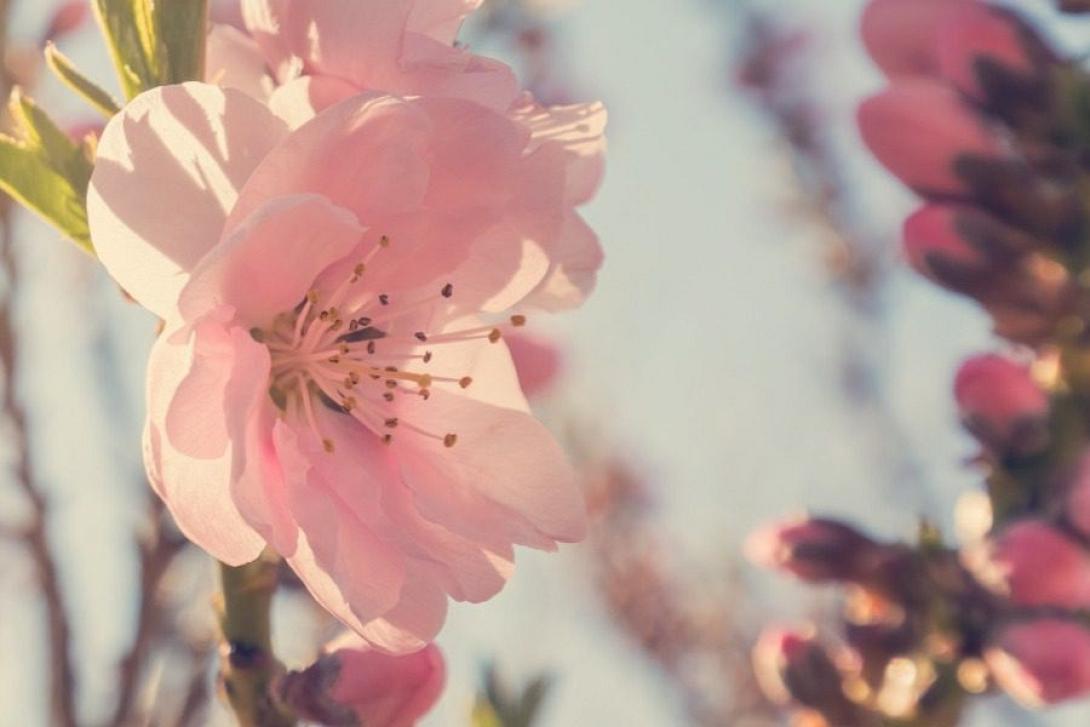 Οι αστρολογικές προβλέψεις της ημέρας για όλα τα ζώδια!