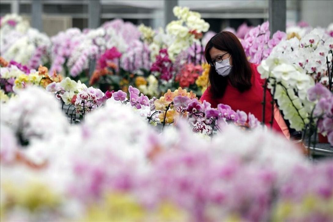 Άνοιξη κορωνοιός