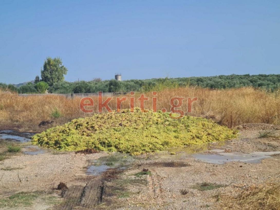 η ποσότητα που πετάχτηκε καθώς δεν υπάρχει διαθέσιμος χώρος