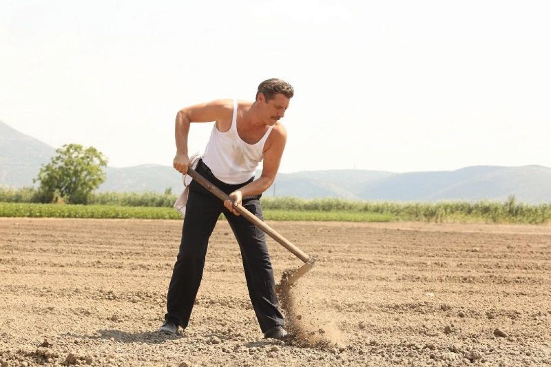 Γιάννης Στάνκογλου