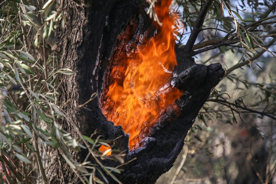 Το πέρασμα της φωτιάς προκάλεσε ζημιές