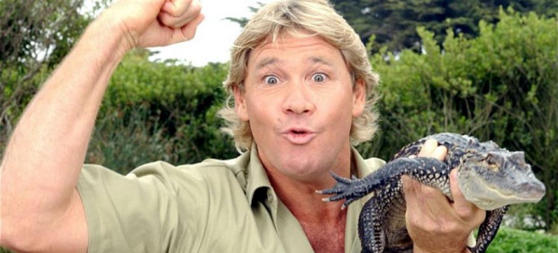 Ο θρυλικός κροκοδειλάκιας κατέθεσε "τεχνογνωσία" Πώς να πιάσετε το Σήφη