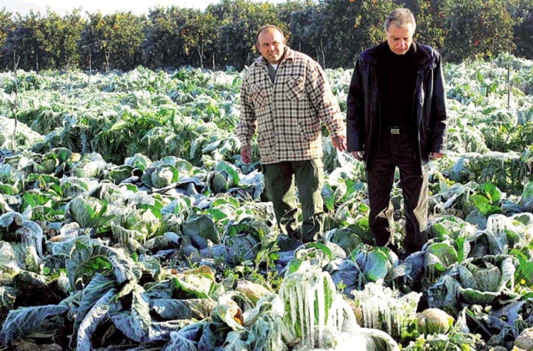 ΕΛΓΑ: Νέος τιμοκατάλογος για την εκτίμηση των ζημιών