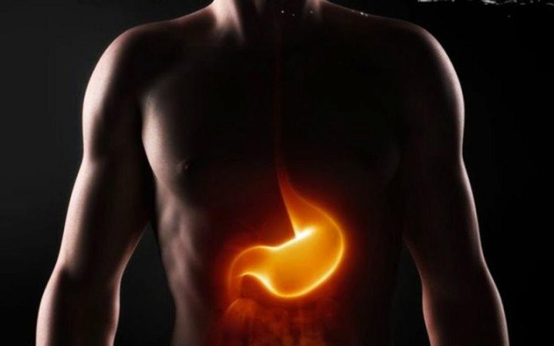 Στομάχι - Παλινδρόμηση