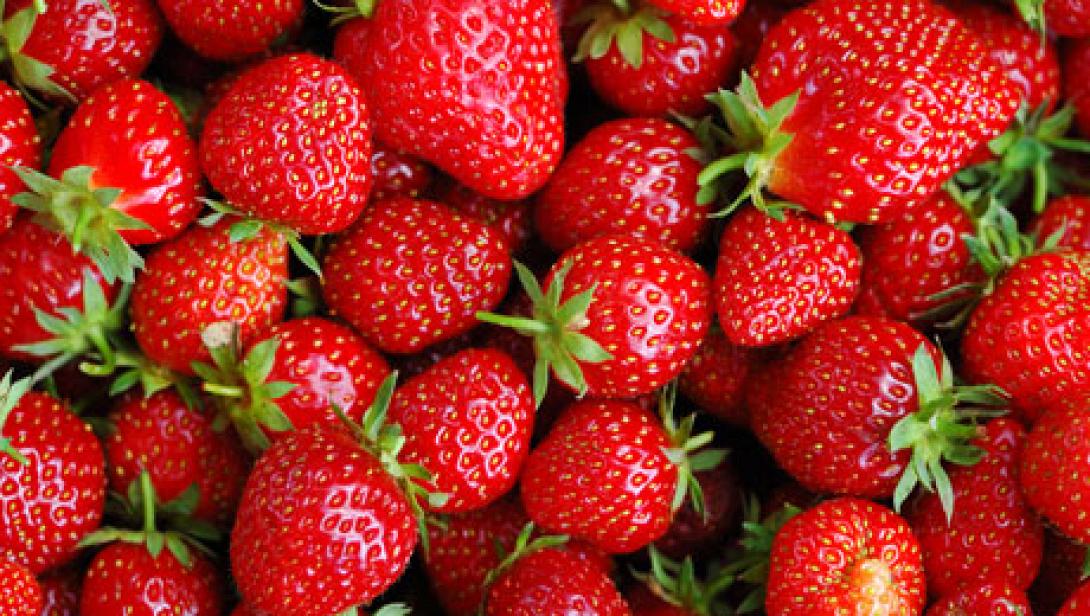 Εξαιρέσεις ελληνικών προϊόντων από το ρωσικό εμπάργκο ζητά η Αθήνα