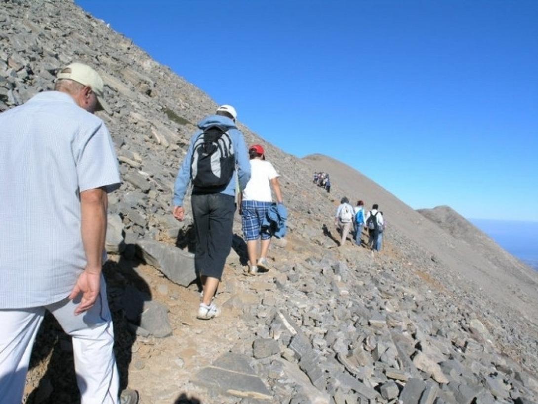 Λιβαδιωτικο Αορι