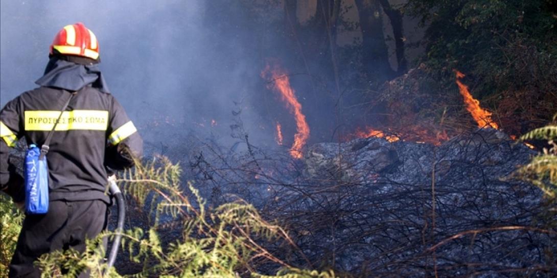 15 στρέμματα έκαψε η φωτιά στη Σητεία