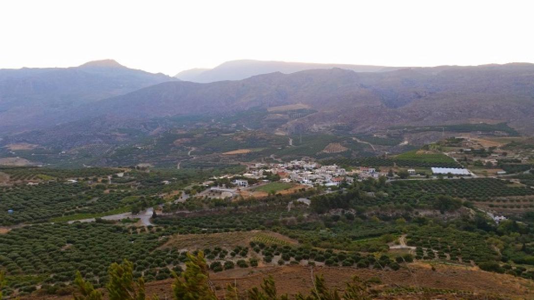 Συκιά Ιεράπετρας