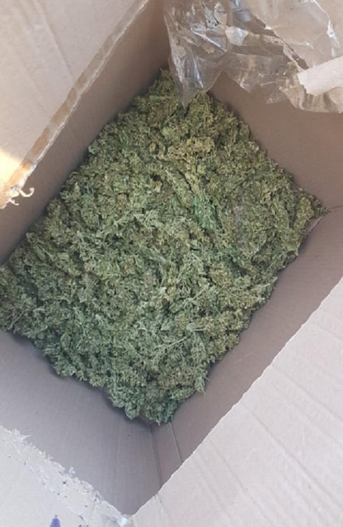 η ποσότητα της κάνναβης που κατασχέθηκε