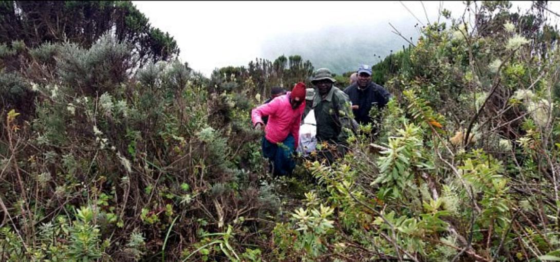 τανζανια νεκροι