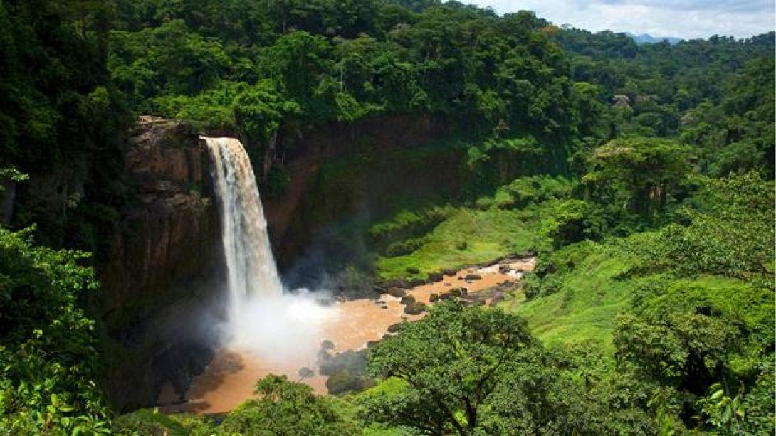 BBC: Αυτό είναι το μαγευτικό σπίτι του Ταρζάν