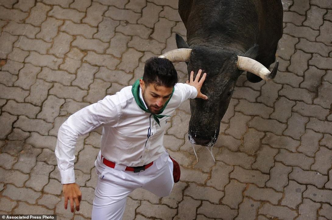 ταυρομαχία