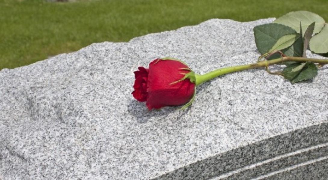 αποχαιρετισμος