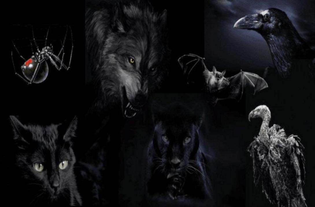 τεστ προσωπικότητας