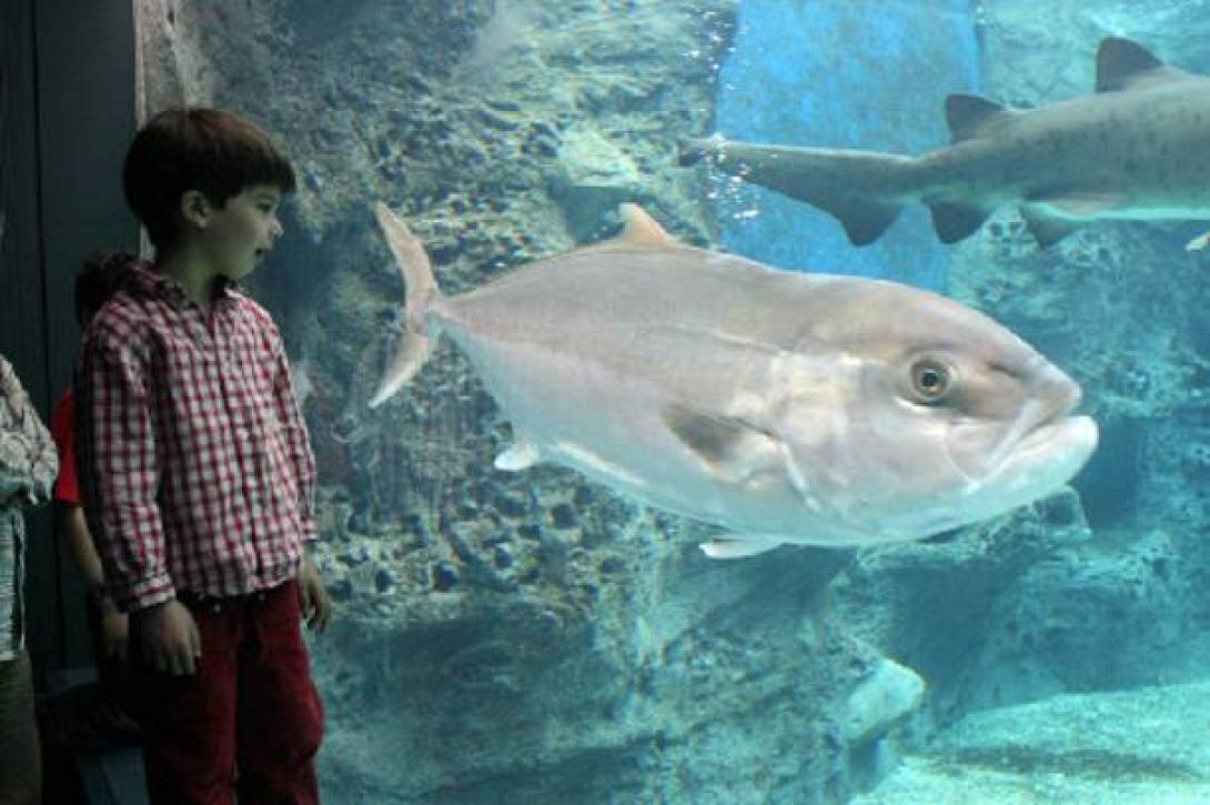 Χειμερινό ωράριο από σήμερα στο Ενυδρείο Κρήτης