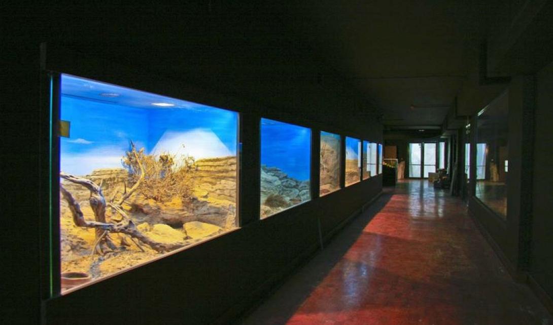 the-museum-of-natural-history-in-crete.jpg