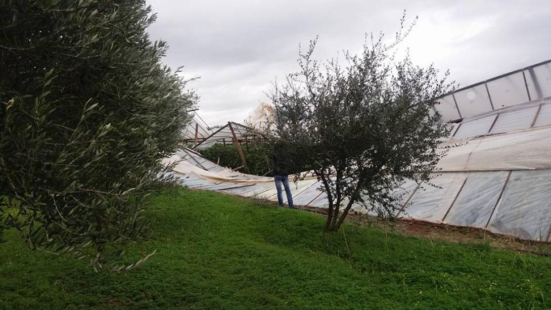 θερμοκηπιο