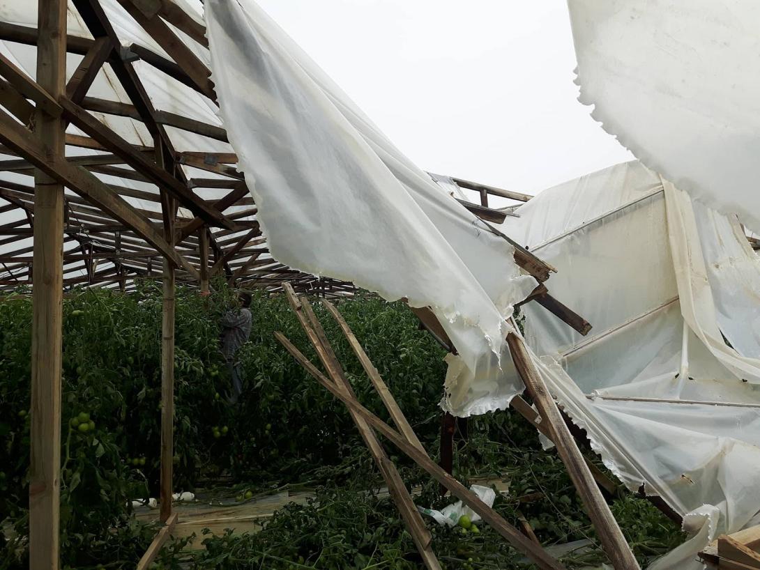 θερμοκηπιο