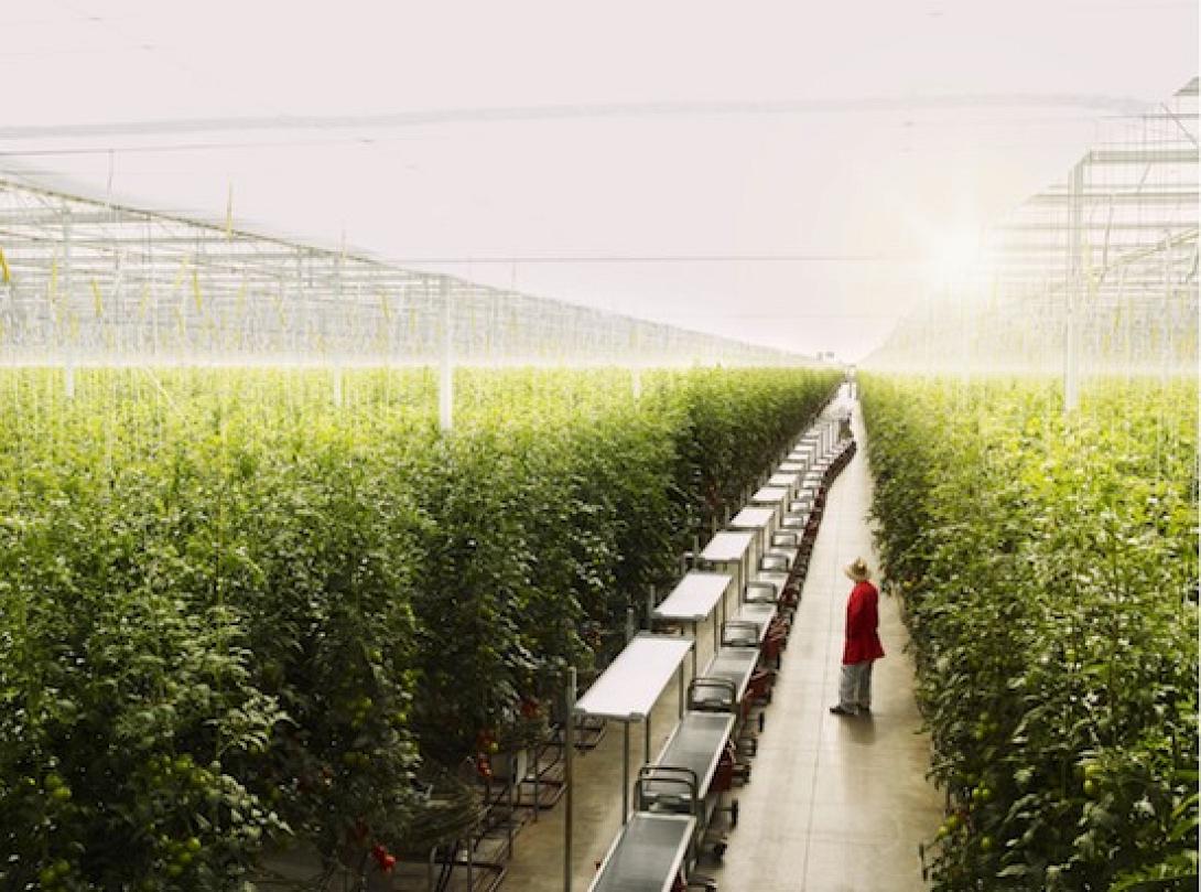 θερμοκήπιο