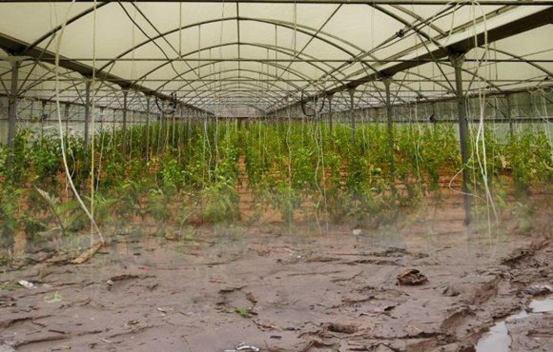 Μπάζα και λάσπες μέσα στα θερμοκήπια της Μεσαράς - Απογοητευμένοι οι αγρότες