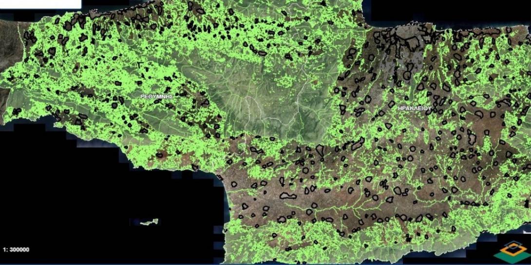 Δασικοί χάρτες