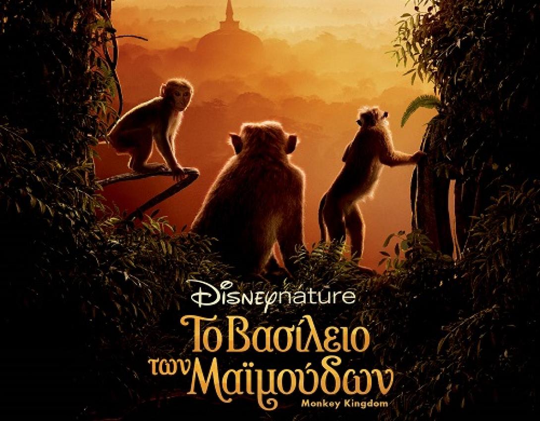 to_vasileio_ton_maiomoudon_monkey_kingdom_tainies_2015_ntokimanter_cinema.jpg