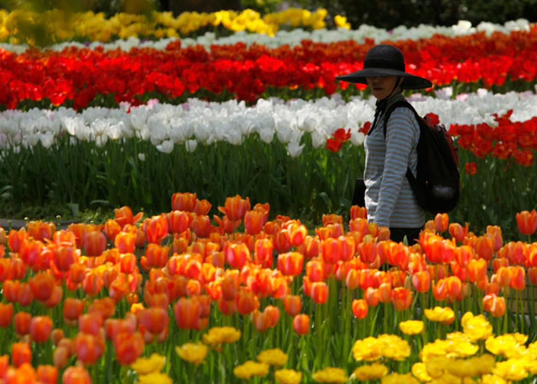 Από πελάτης τους στην Κρήτη, εργοδότης τους στην Ολλανδία