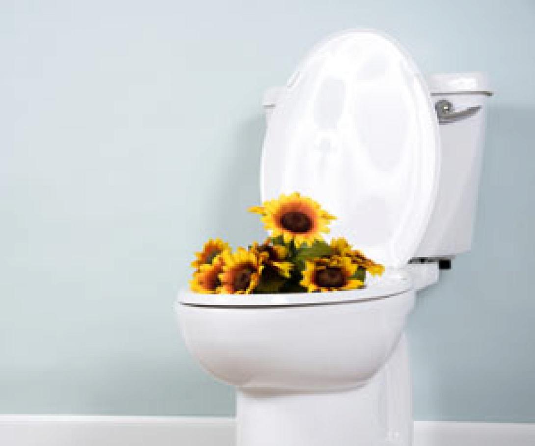 Ήπιο καθαριστικό για την λεκάνη της τουαλέτας