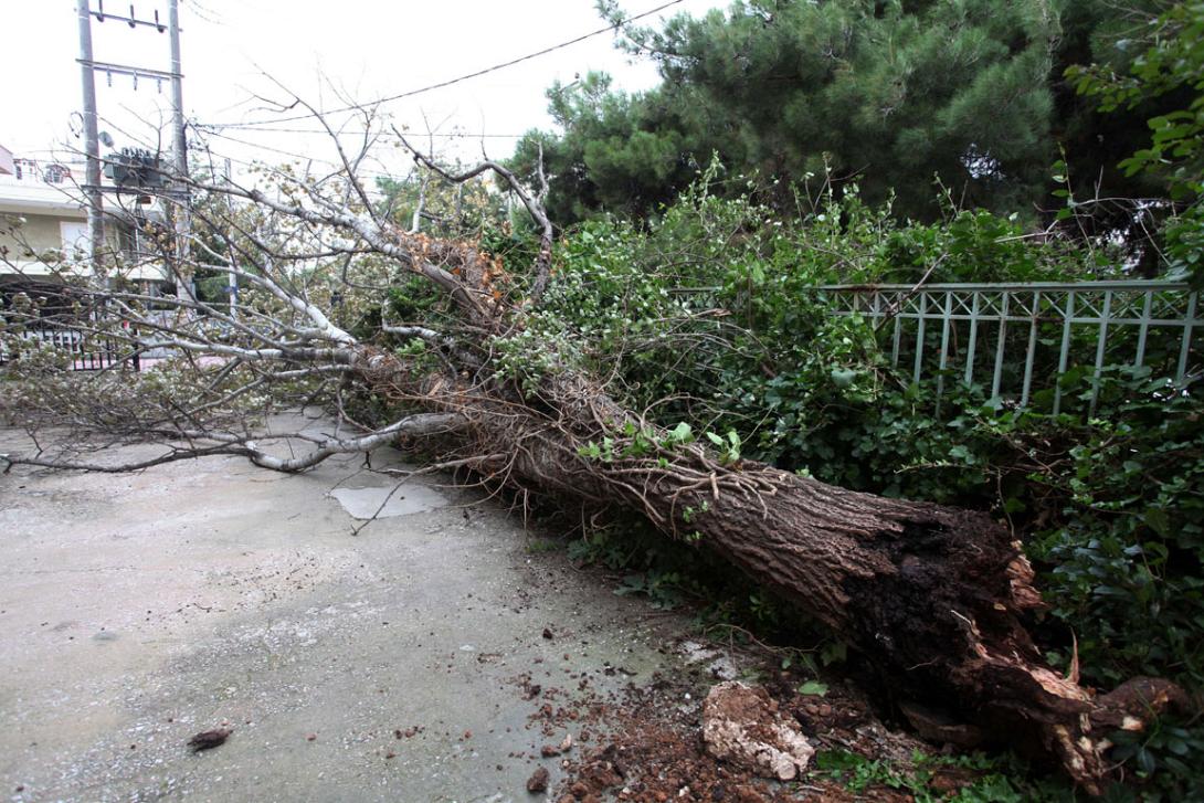 Προβλήματα από τον ισχυρό άνεμο στη Θεσσαλονίκη