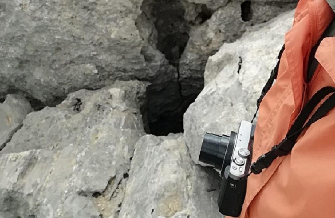 Γουργούθακας