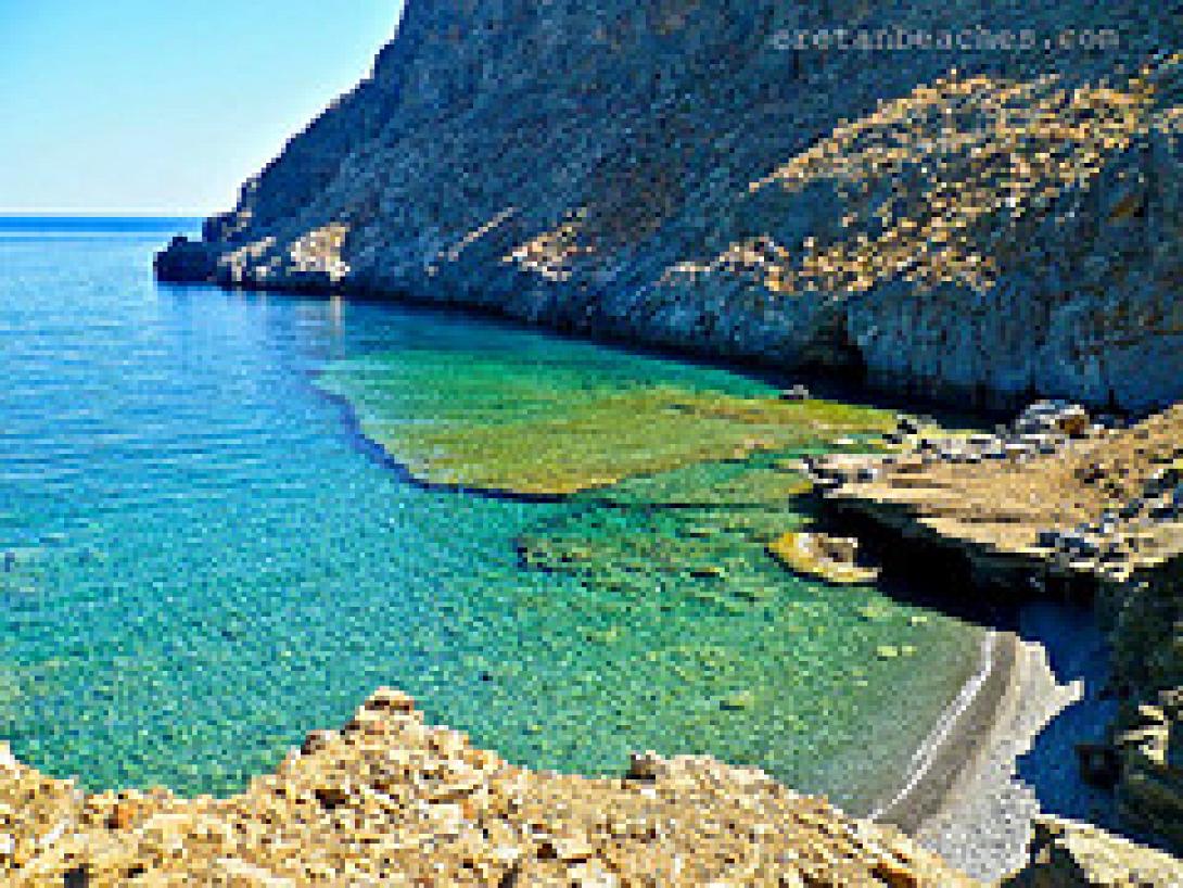 Ας γίνει το διαδίκτυο το δικό μας "όπλο" ενημέρωσης απέναντι στον χημικό εφιάλτη