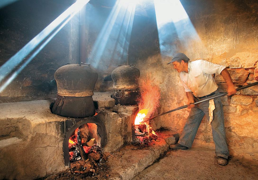 Τσικουδια αποσταξη
