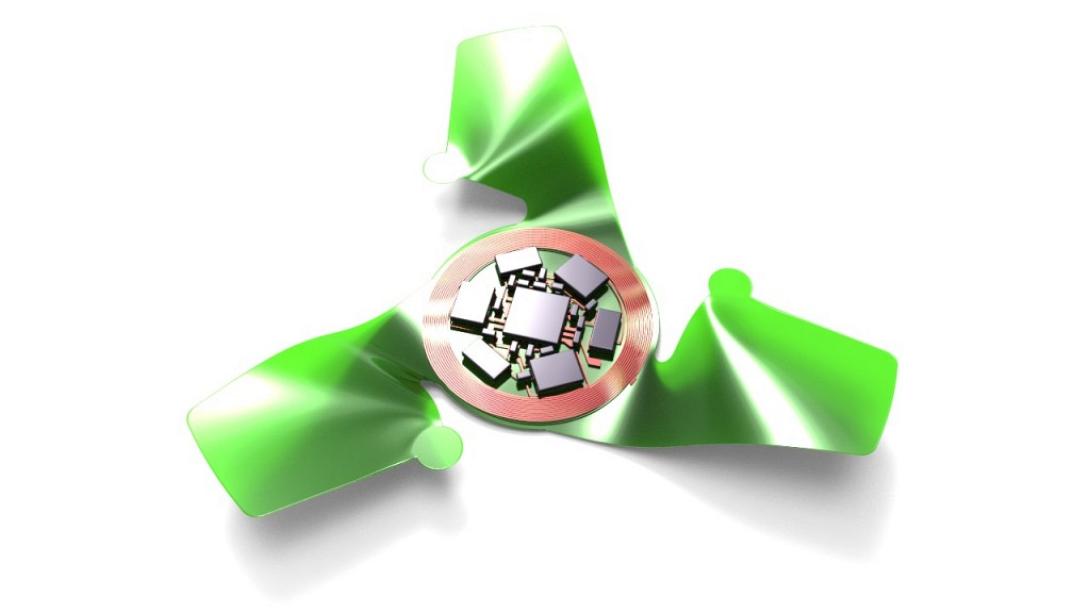 τσιπάκι με φτερά